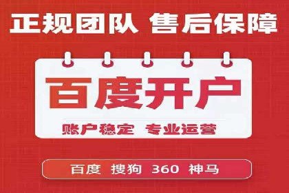 某电商平台的SEM广告投放策略及效果评估